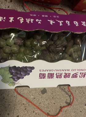 福安葡萄自然熟松罗巨峰新鲜采摘孕妇儿童爱吃青绿葡萄小时候味道