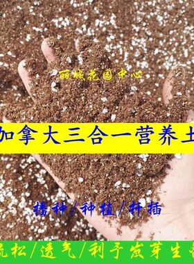 多合一营养土进口泥炭配制3L