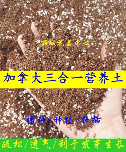 多合一营养土进口泥炭配制3L