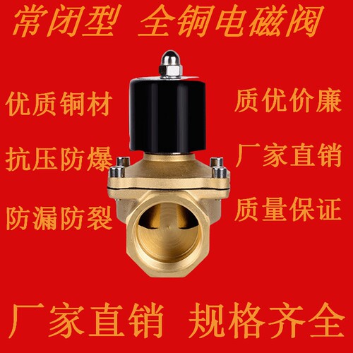 32铜线圈全铜电磁阀水阀 2W350-32 1.2寸口径 DC12V DC24V AC220V