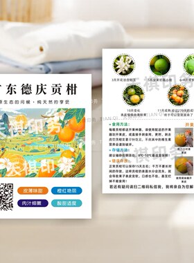 丑橘耙耙柑卡片定制血橙贡柑