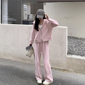 现货！ 春秋连帽卫衣直筒裤休闲套装女 H825-P160 控248，女装套装/套裙，浙宝115