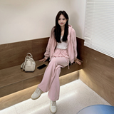 春季新款休闲运动套装女2024年韩版宽松粉色连帽卫衣阔腿裤两件套，女装套装/套裙，浙宝115