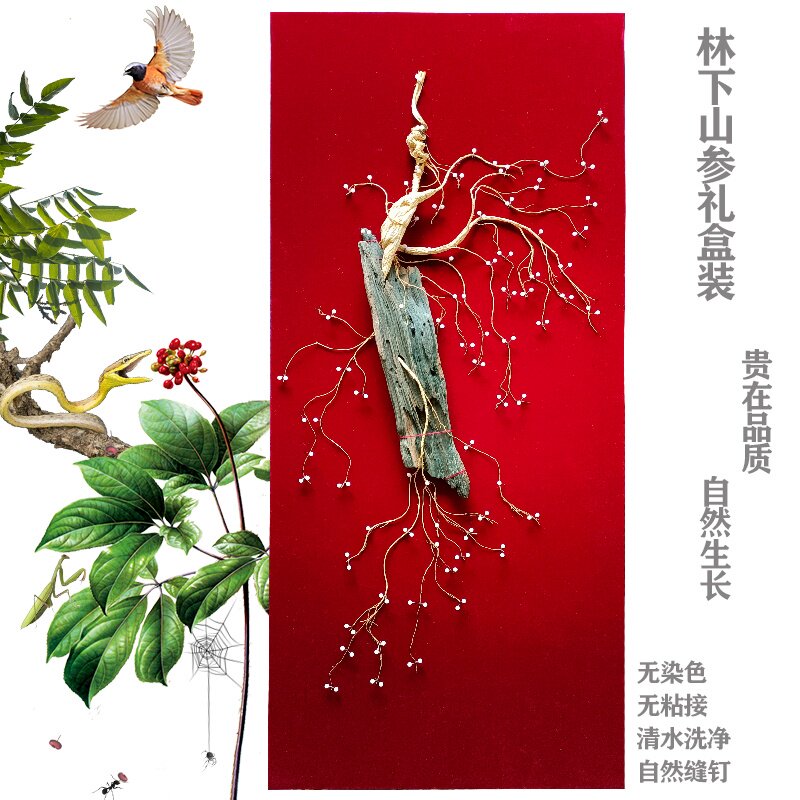 羽林参业长白山林下山参林下籽货林下参礼盒包邮可视频选参