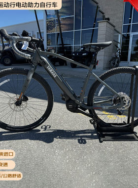 日本本土e-bike运动电动自行车