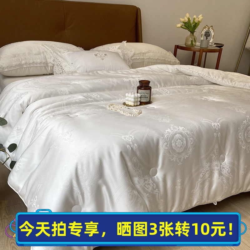 高端60支丝耐雪被子20%桑蚕丝雪绒被木本提花春秋被保暖冬被被芯
