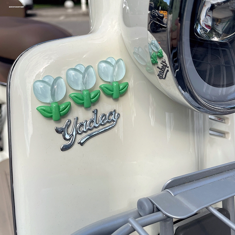 适用绿源inno5小牛F400 MOIL G400 F100 B2新蕾郁金香半透装饰贴