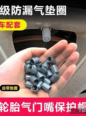 适用于远景缤瑞缤越博瑞GL帝豪GS汽车轮胎气嘴帽气门芯盖防尘
