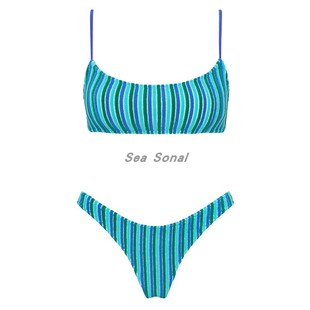 绿条分体泳装 高端性感海岛度假时尚 熊宝比基尼 爆款 泳衣女2024新款