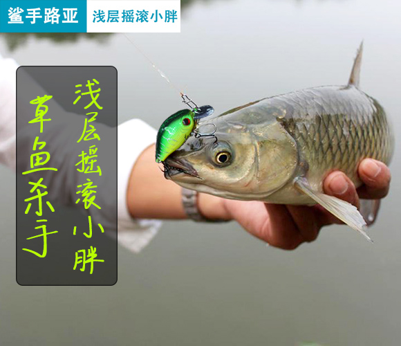 路亚小胖子草鱼路亚饵鲈鱼翘嘴马口淡水鱼饵5.5cm/7.5g仿生假饵