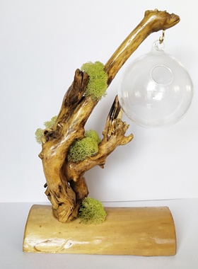 天然永生苔藓空气多肉植物摆件