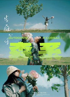 高级自然森系摄影视频调色预设配置文件人像风光静物适用于PS/lr