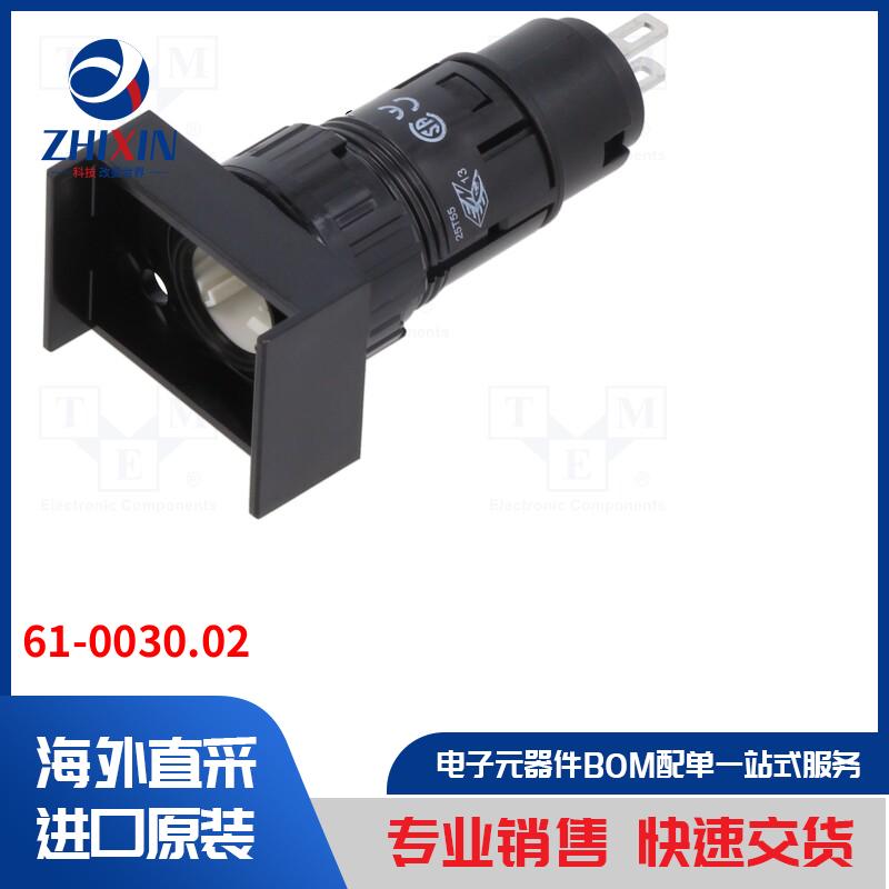 61-0030.02 指示器类型-主体