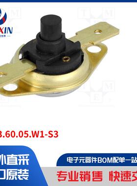 AR33.60.05.W1-S3 传感器类型-恒温器