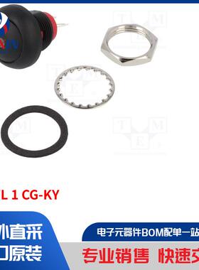 DPWL 1 CG-KY 开关类型-按钮