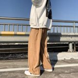 2025春男宽松直筒阔腿裤港风高街灯笼长裤灯芯绒裤子K532P30，男装休闲裤，星座1108-1