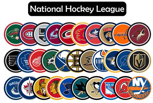 NHL体育周边 美国职业冰球联盟 全套33支球队 队徽徽章胸章冰箱贴