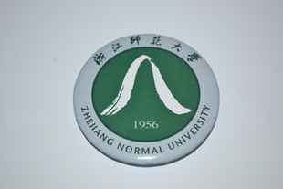 文化周边 浙江师范大学 校徽徽章胸章胸针冰箱贴贴纸 可定制