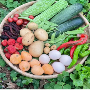 上海各类秋季特产时令蔬菜自选组合装江浙沪共享小院社群99