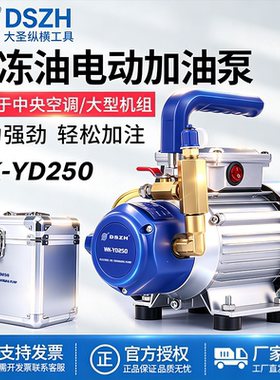 大圣WK-YD250电动加油泵抽补油泵