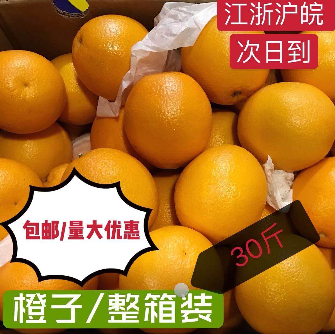 现发南非橙)南非橙埃及橙,皮薄多汁酸甜整箱装30斤果径75mm-80mm