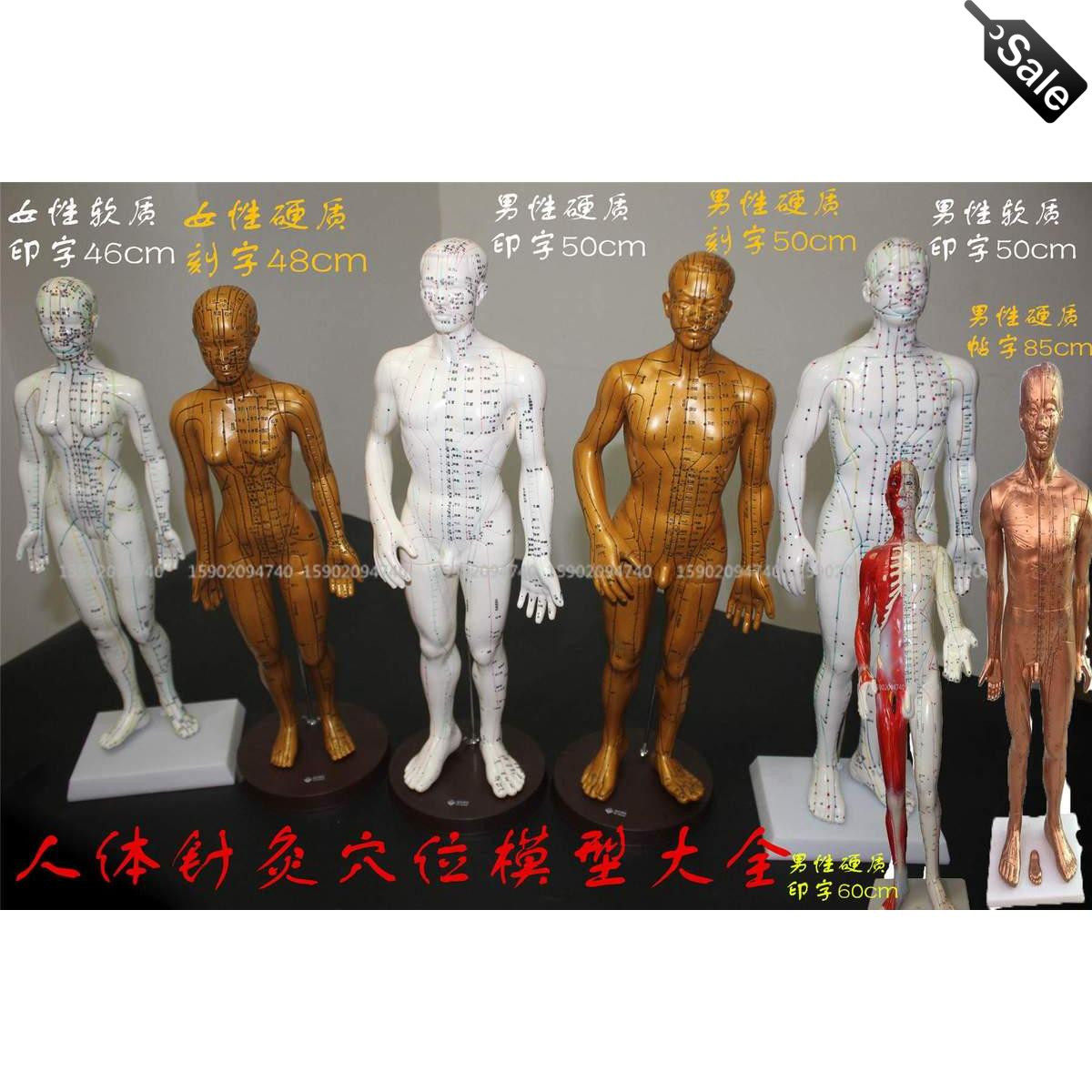 中医用教学针灸穴位模型超清晰高清铜人刻字经络模型男女小人模型
