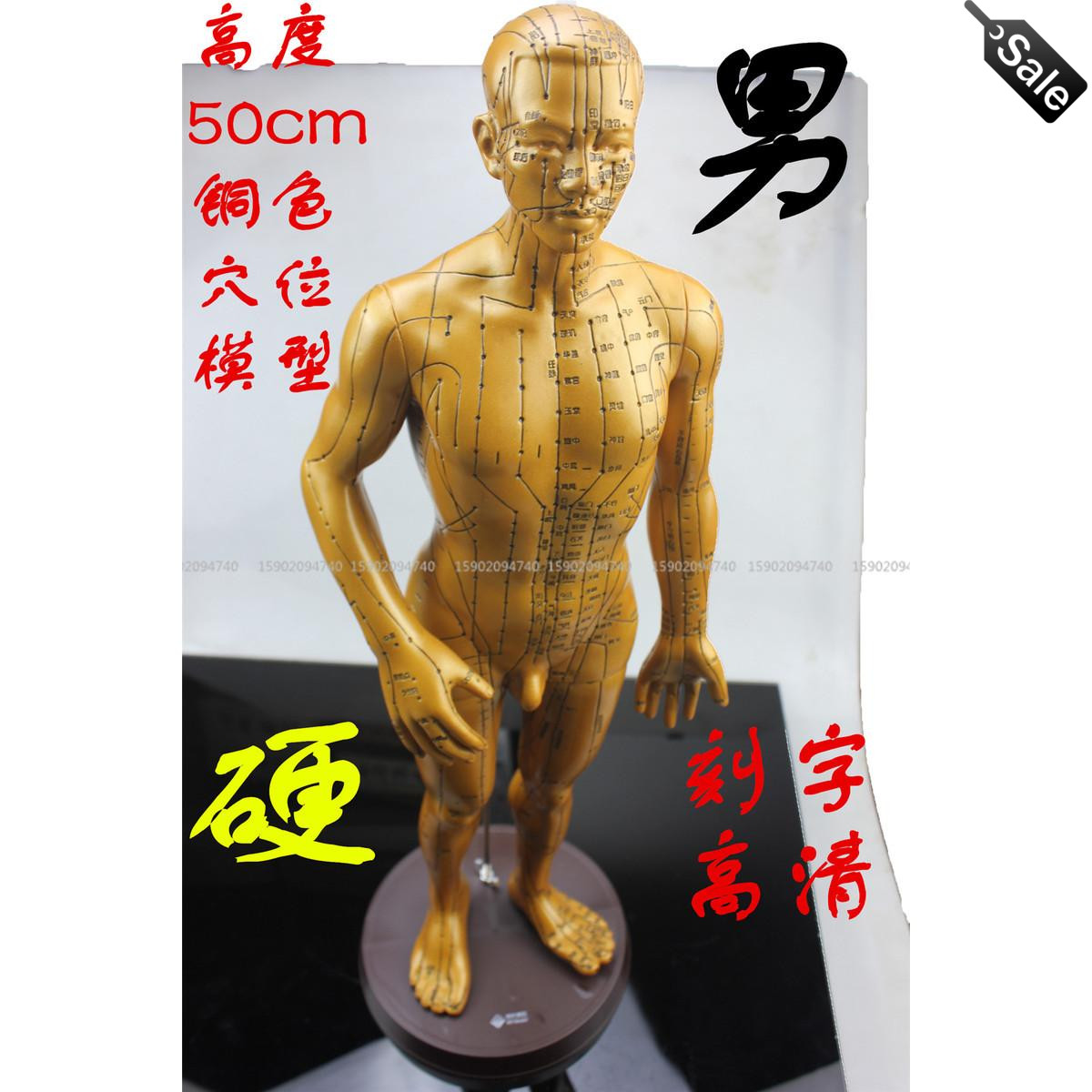 针灸铜人刻字人体穴位模型男性中医教学推拿按摩教学高清硬模型