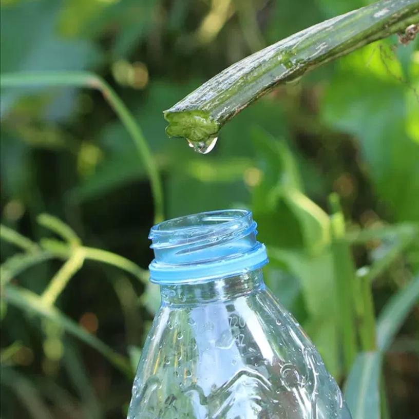 土地哥 农家自采天然丝瓜水原液 丝瓜藤茎水 丝瓜原液  2瓶包邮