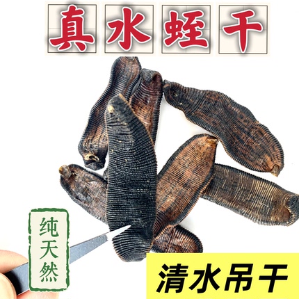 水蛭干野生水蛭清水吊干中药材宽体金线蚂蟥干水蛭素天然水蛭素