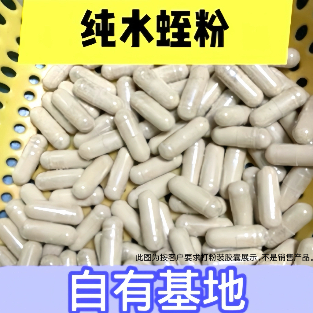 同仁堂品质水蛭粉 水蛭素 蚂蟥粉 水蛭片 胶囊 不是菲牛蛭冻干粉