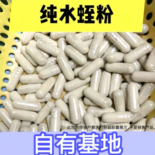 真水蛭粉 天然水蛭素 蚂蟥粉 金边水蛭片 胶囊 不是菲牛蛭冻干粉