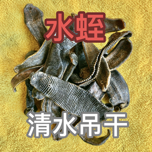 正品 水蛭蚂蟥 水蛭干 天然水蛭素 蚂蟥干 原产地自有基地