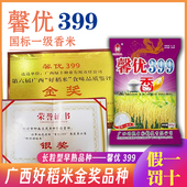 国标一级香米馨优399水稻种子口感软糯高产500克抗倒