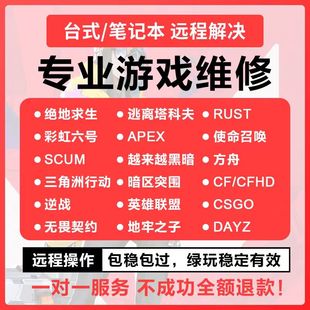 电脑机器无畏契约VAL三角洲CF英雄联盟和平精英3天7天30天365天码