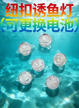 路亚海钓水下七彩闪烁诱鱼灯