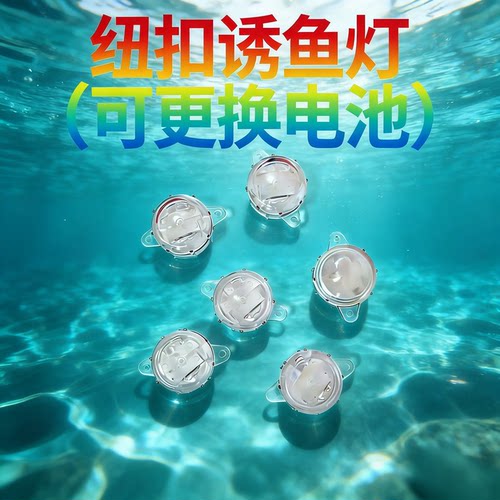 路亚海钓水下七彩闪烁诱鱼灯