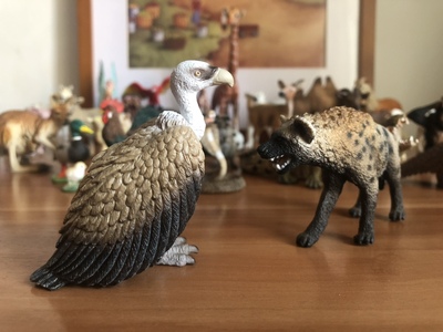 正版德国秃鹫秃鹰食腐动物模型儿童玩具早教认知启蒙仿真绘本