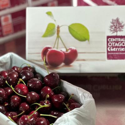 新西兰CO经典盒车厘子 奥塔哥车厘子樱桃 空运顺丰冷链