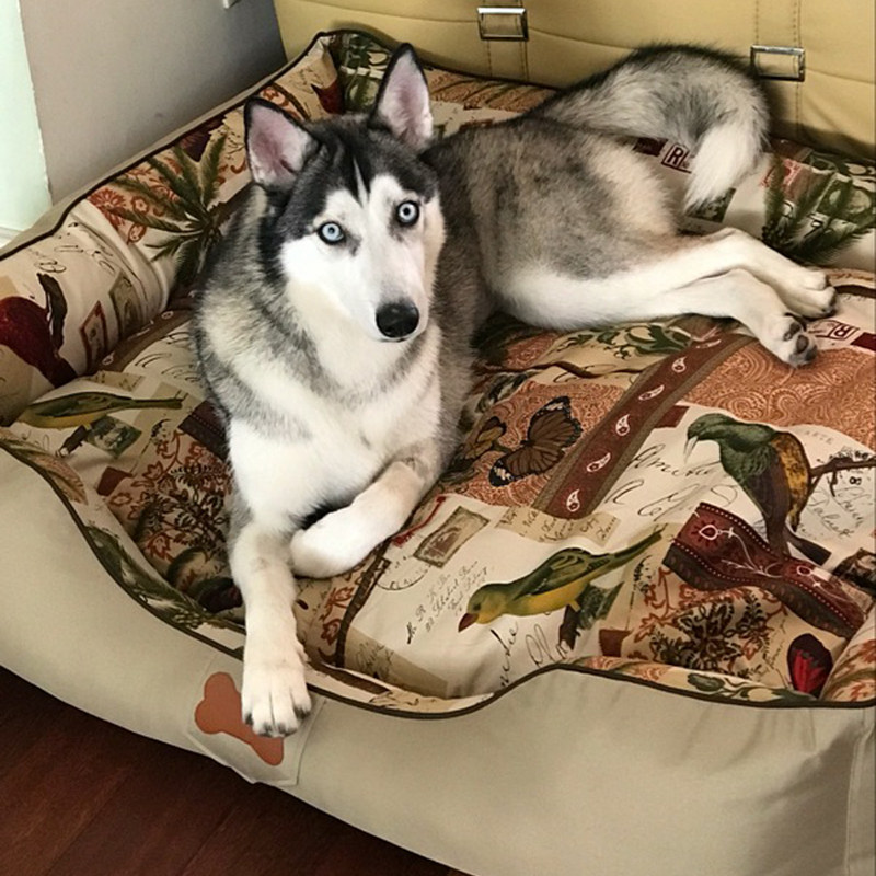 狗窝四季通用中大型犬可拆洗哈士奇金毛边牧室内加厚狗床冬季保暖