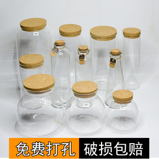 创意鱼缸生态球玻璃观造景装 饰迷你桌面摆件小型空瓶DIY搭配微景