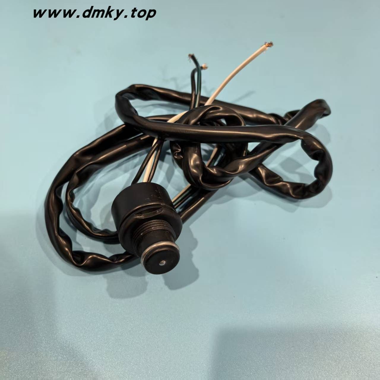 庞巴迪摩托艇老款三线款钥匙头