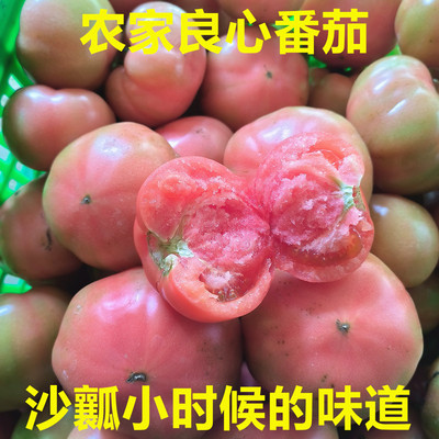 河南西红柿新鲜沙瓤番茄水果露天自然熟农家菜新鲜蔬菜