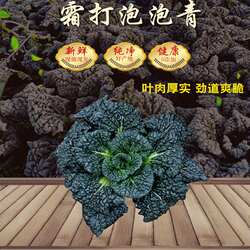 霜冻泡泡青新鲜蔬菜露天菜霜打菜卷叶黑菜随州特产农家菜黑叶包邮