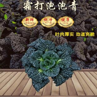 霜冻泡泡青新鲜蔬菜露天菜霜打菜卷叶黑菜随州特产农家菜黑叶包邮