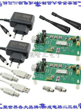 RC1701HP-WIZE-DK 开发板评估板 WIRELESS MBUS DEVELOPMENT KIT