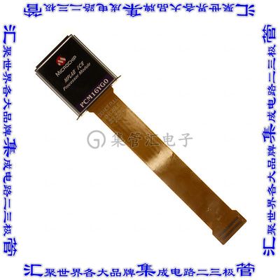 PCM16YG0 开发板评估板 MODULE PROCESSOR PIC16F87,88