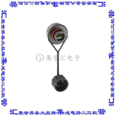 IAEBHC6XS 连接器接插件CATEGORY 6A, SHIELDED, RJ45, 8-P