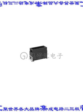 284656-E 连接器接插件MAXIBR M 02POS VERT P SMT BK