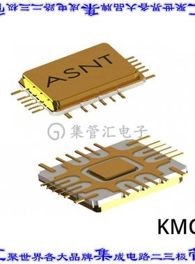 ASNT8141-KMC 集成电路芯片IC PSEUDORANDOM BIN SEQ 24CQFP