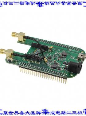 NL-AB-BBCL 开发板评估板 SKYWIRE BEAGLE BONE BLACK CAPE L